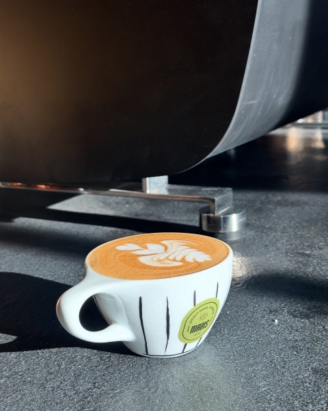 Madis Coffee at the Curtis