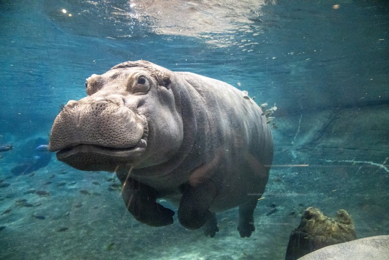 Philadelphia CityPASS