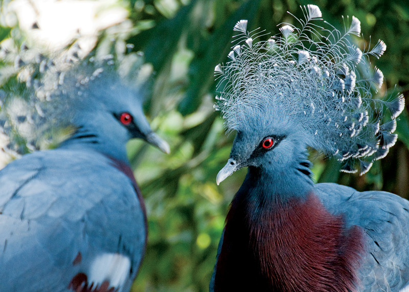 Philadelphia CityPASS