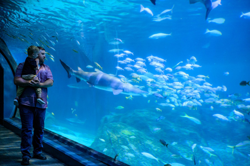 Philadelphia CityPASS