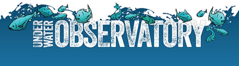 Logo Title