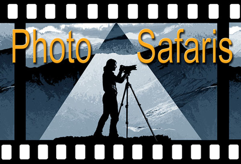 Logo Title
