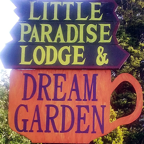 Logo Title