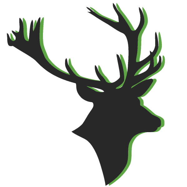 Logo Title