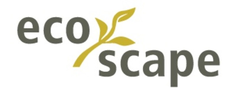Logo Title
