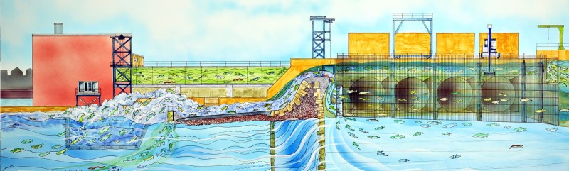 HG&E's Robert Barret Fishway