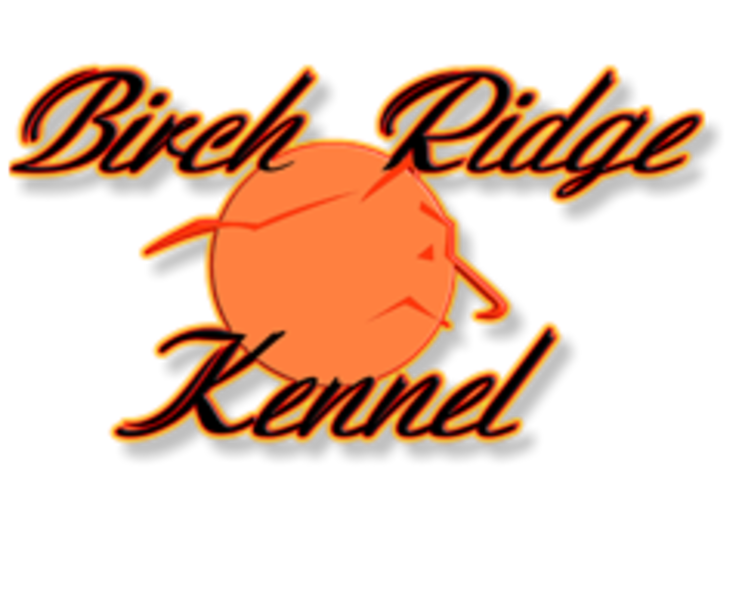 Birch Ridge Kennel Birch Ridge Kennel