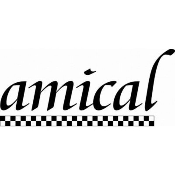 Amical Logo