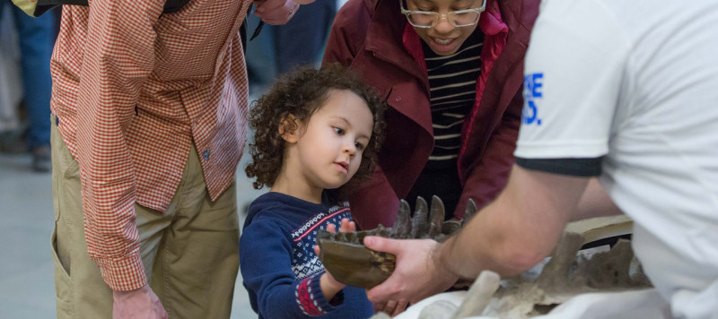 The Field Museum | Choose Chicago