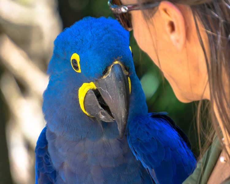 Palm Beach Zoo & Conservation Society listing image