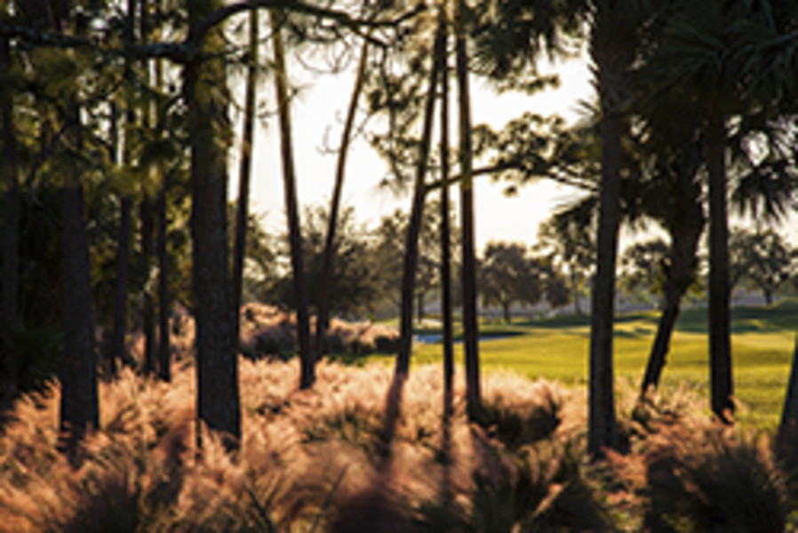 PGA National Resort – The Champion Course listing image