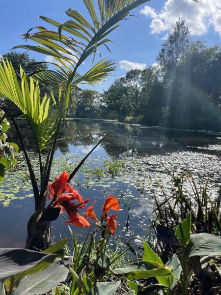 Botanischer Garten von Palm Beach County Foto: Mounts