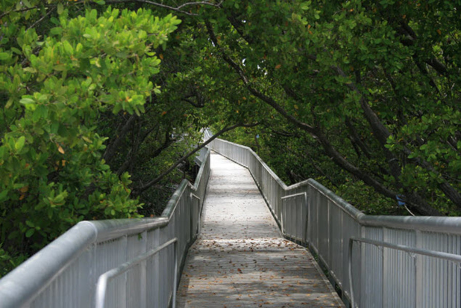 Mangrove Park listing image