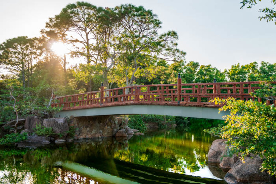 Foto del Museo y Jardines Japoneses Morikami