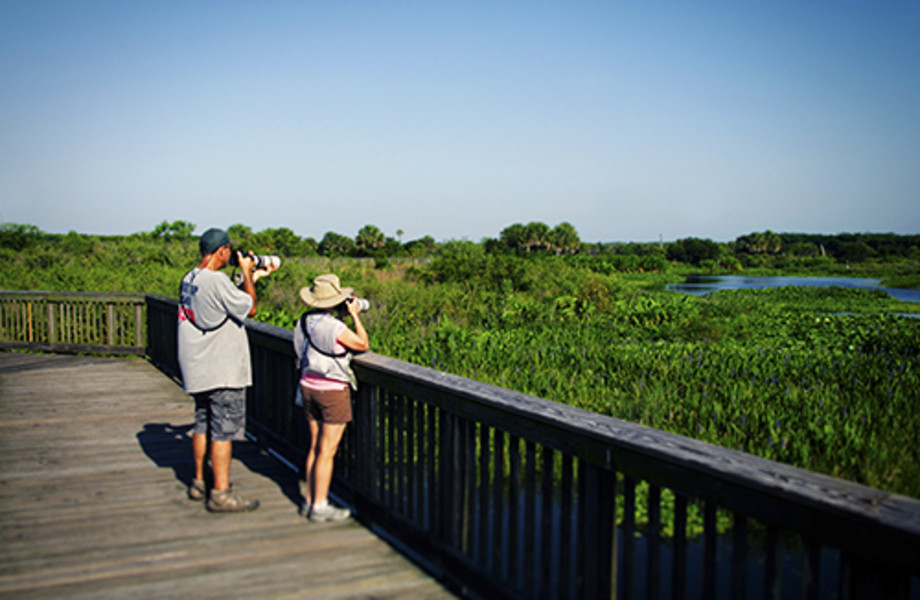 Wellington Environmental Preserve at the Marjory Stoneman Douglas Everglades Habitat listing image