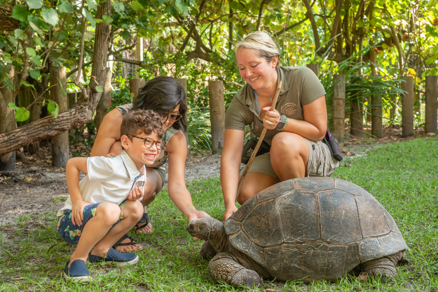 Palm Beach Zoo & Conservation Society photo
