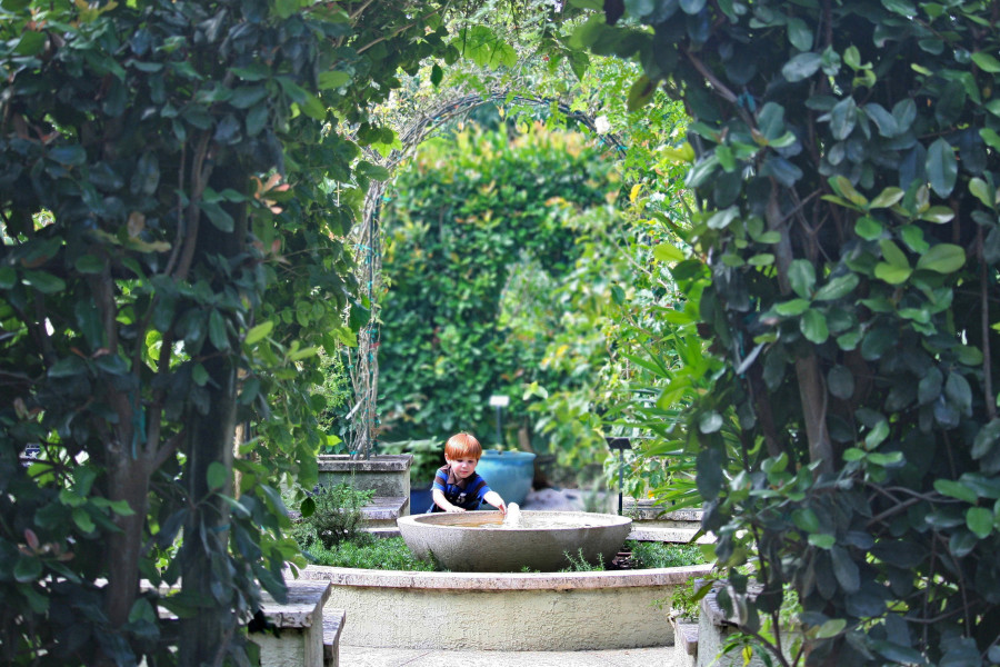 Botanischer Garten von Palm Beach County Foto: Mounts