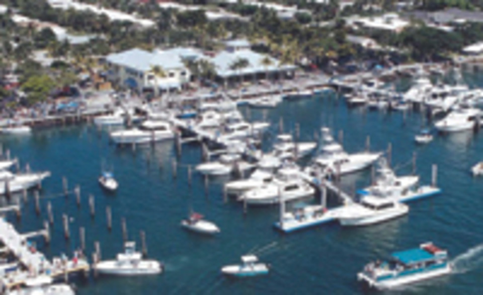 Sailfish Restaurant at Sailfish Marina photo