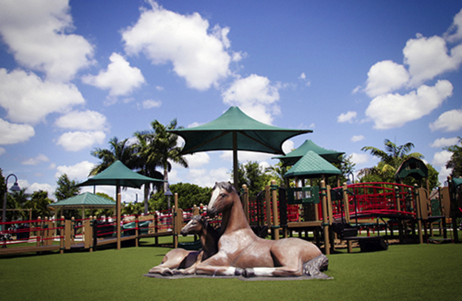 Scott’s Place Playground listing image