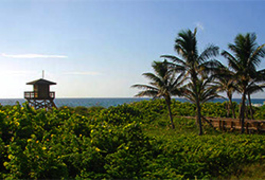 Red Reef Park listing image