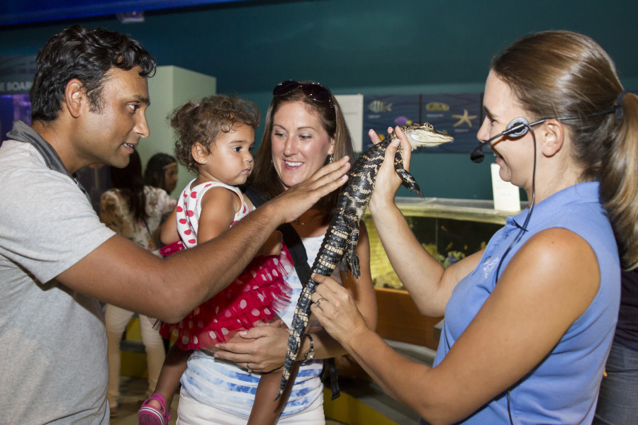 Cox Science Center und Aquarium Foto
