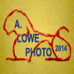 A. Lowe/Creative Photography
