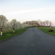 Crosby Township