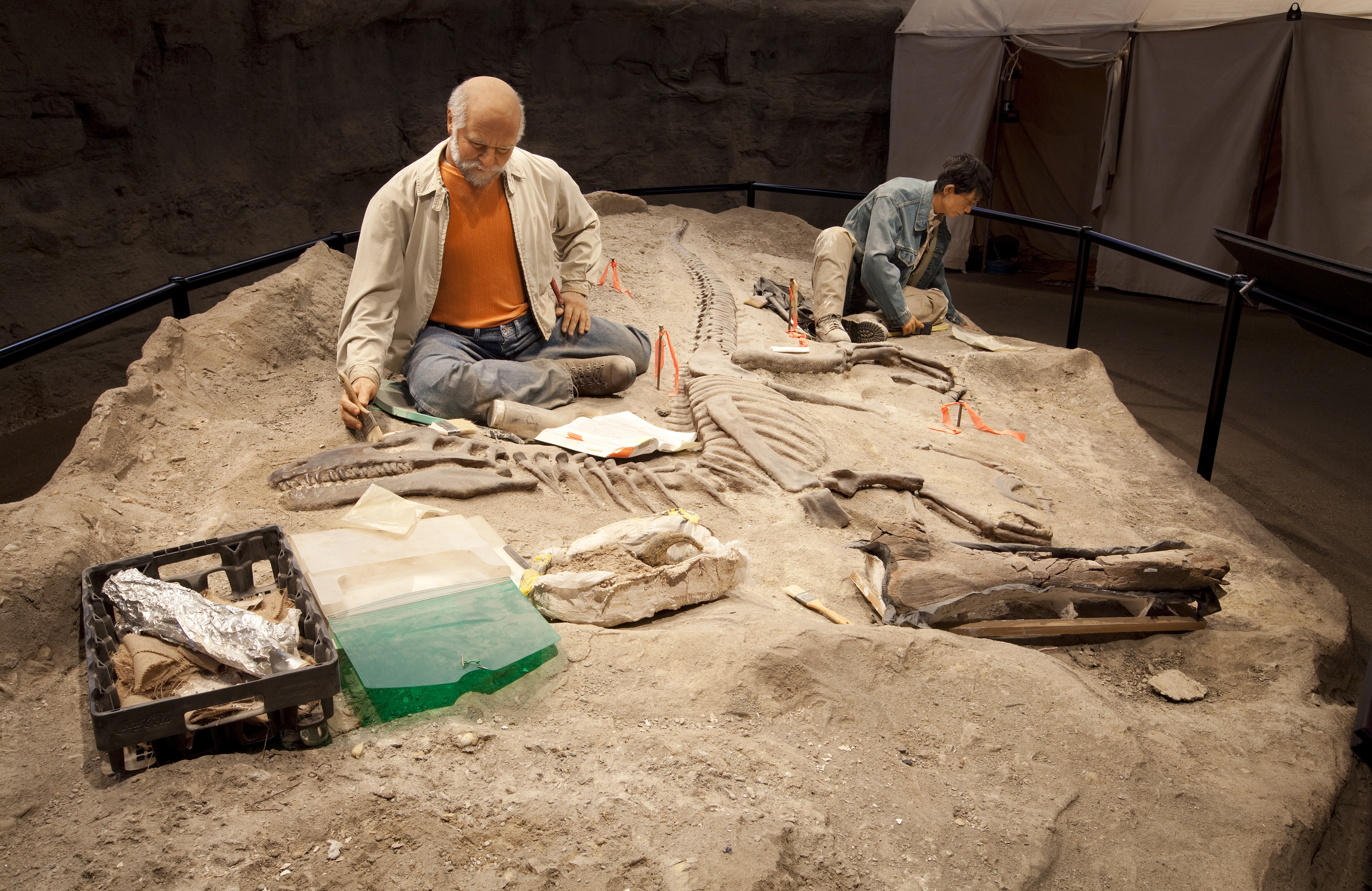 3137-palaentologists.jpg