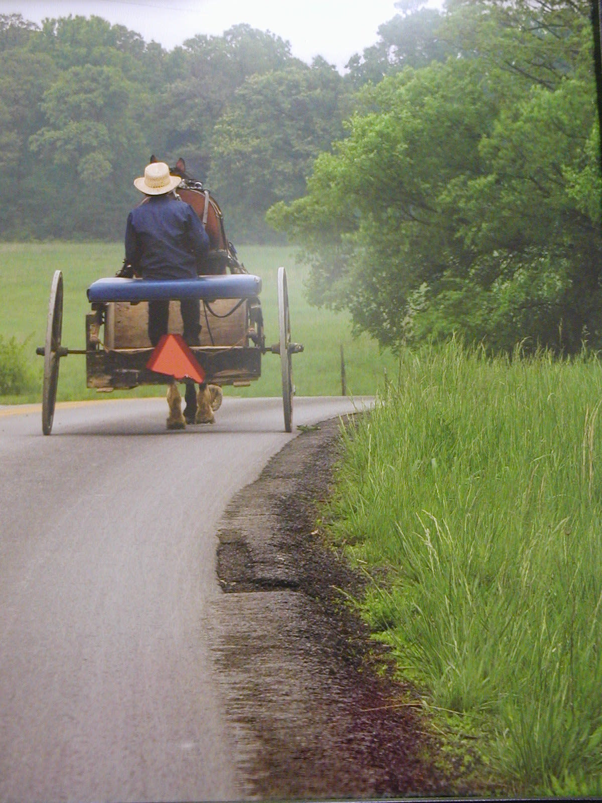 back-of-buggy-in-fog.jpg