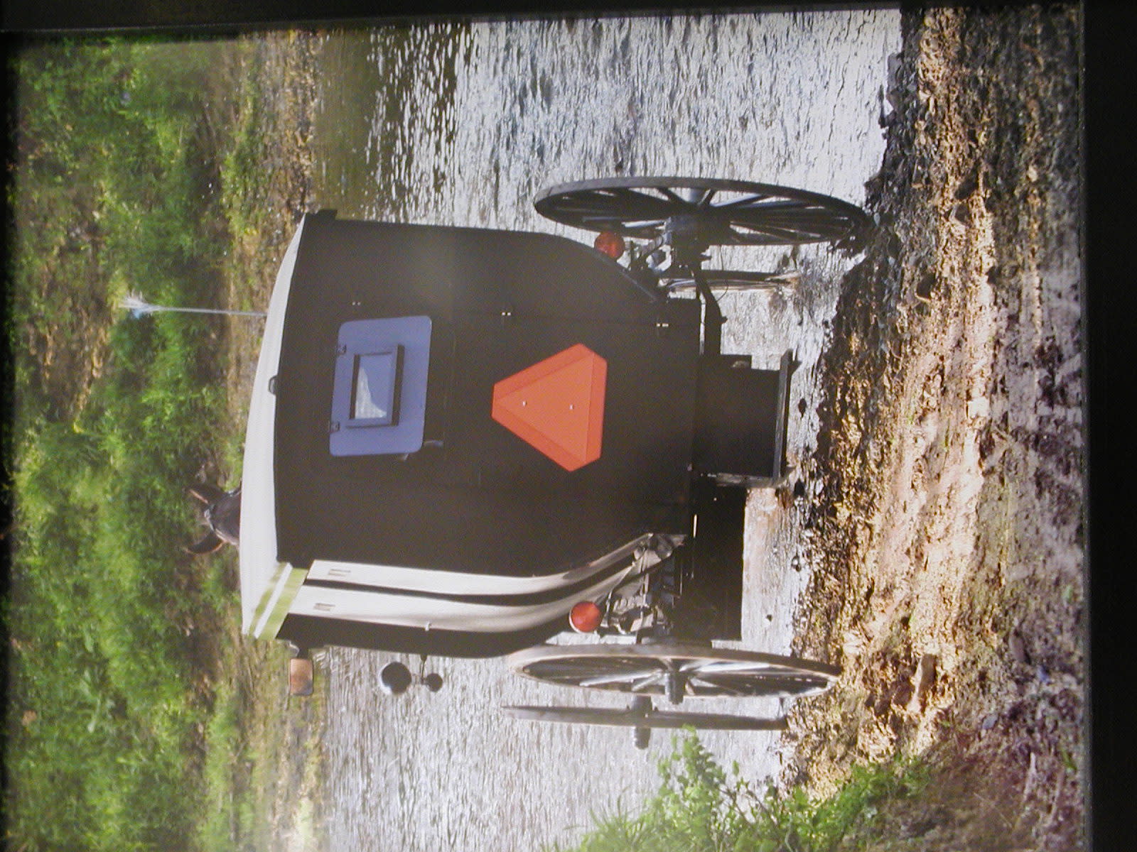 big-buggy.jpg