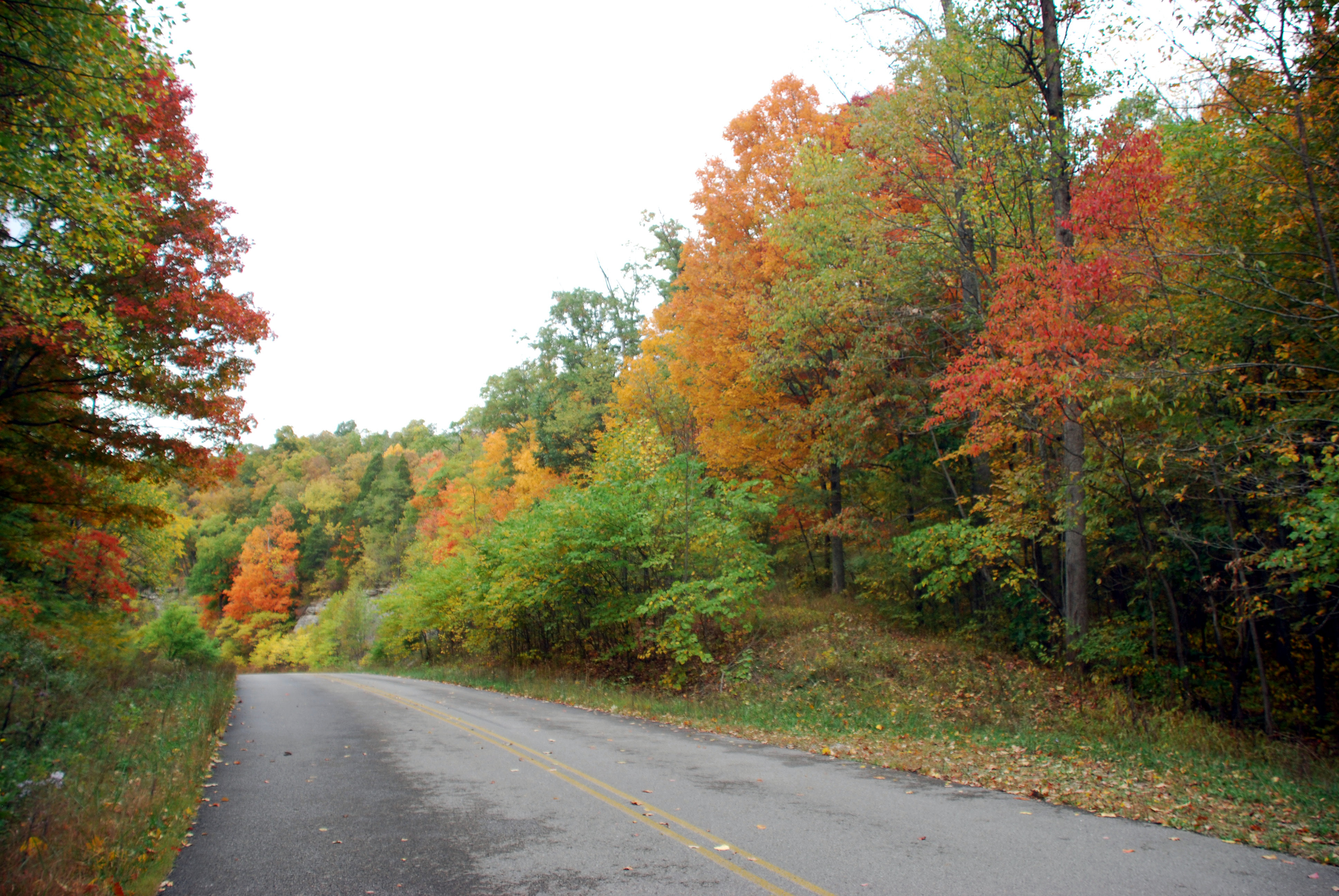 Zilpo Road National Forest Scenic Byway