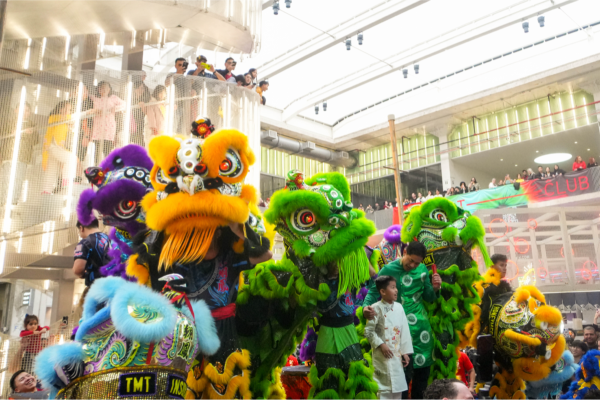 Lunar New Year in Houston