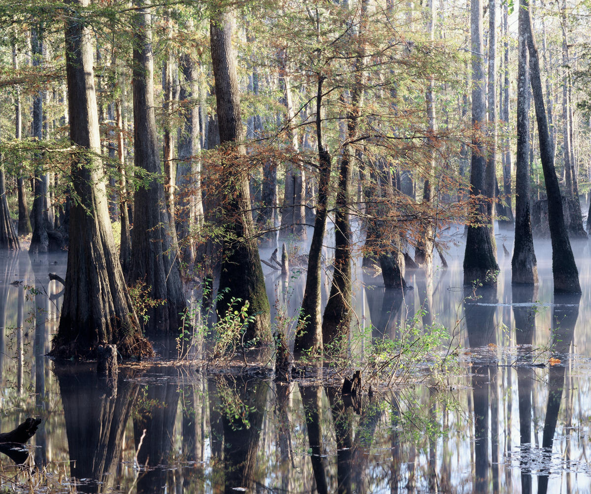 Backpage In Pascagoula Mississippi