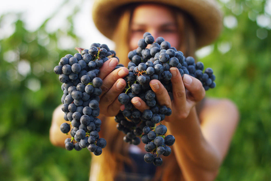 woman holding clusters of grapes