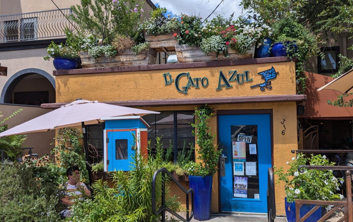 El Gato Azul