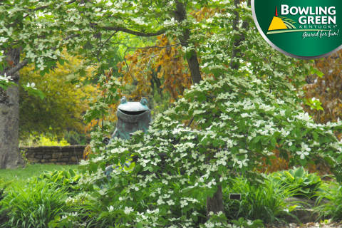 Frog sculptures and nature at Baker Arboretum in Bowling Green, Ky.
