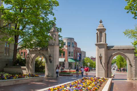 Media Asset_Sample Gates