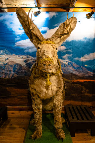 A giant stuffed jackalope