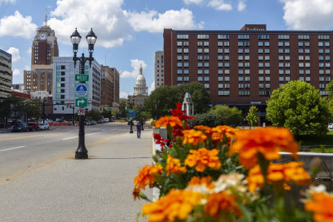 Flowers with Boji tower in the background