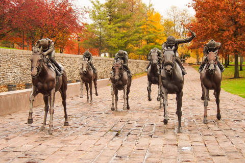 Thoroughbred Park in Fall