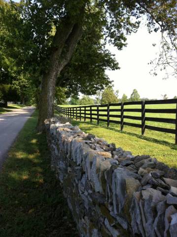 Picturesque Country Road