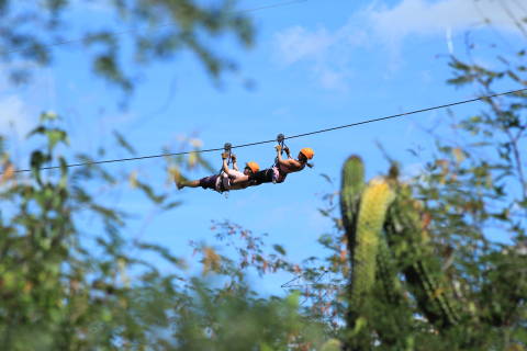 Zipline