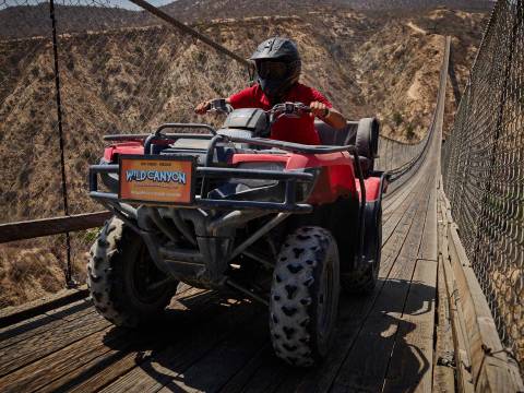 atv wild canyon