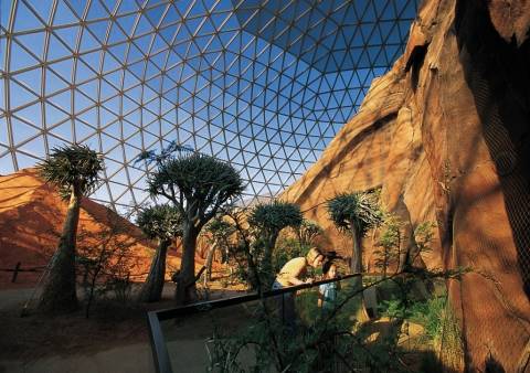 World's Largest Indoor Desert - Omaha's Henry Doorly Zoo
