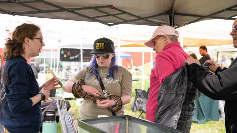 Women holding a snake at an Earth Day Festival