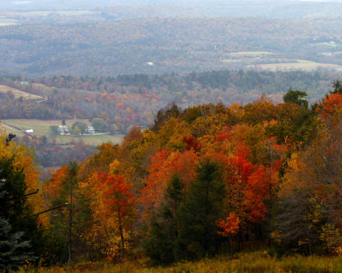 View the Fall Foliage in the Pocono Mountains