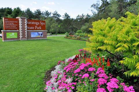 Shot of Saratoga Spa State Park signage to the left and purple, white and red flowers close up to the right