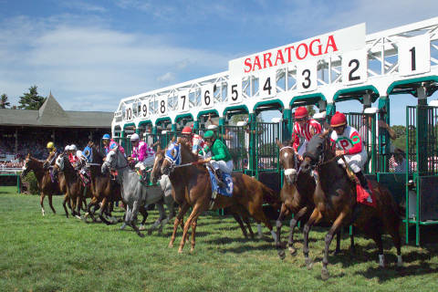 Horses being released from the starting gate