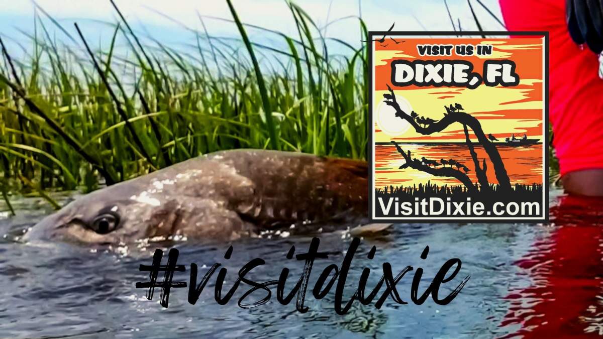 Dixie County Tourist Development Council in Cross City | VISIT FLORIDA