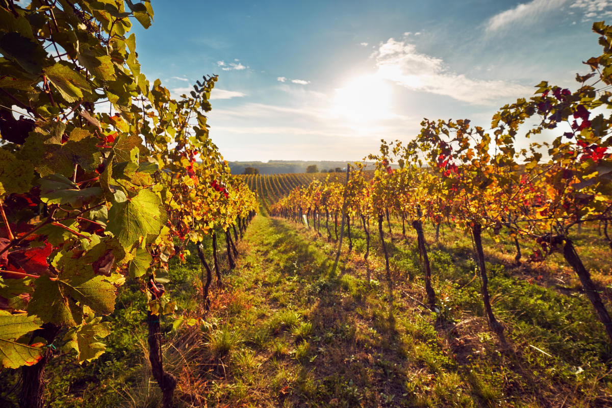 Wineries